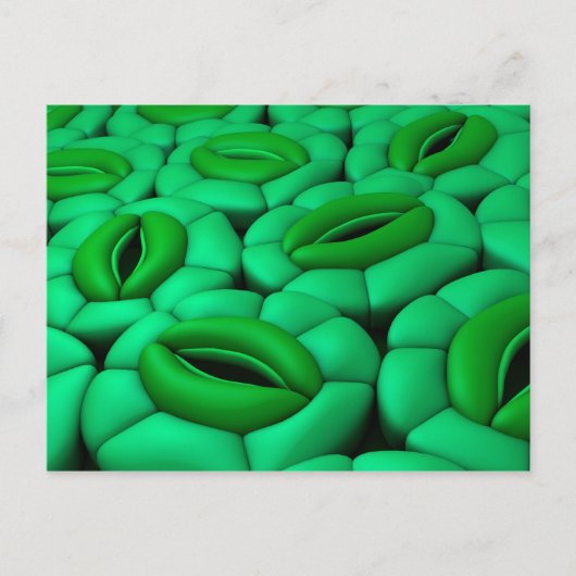 Carte Postale Image Conceptuelle De Stomata 1 (Devant)