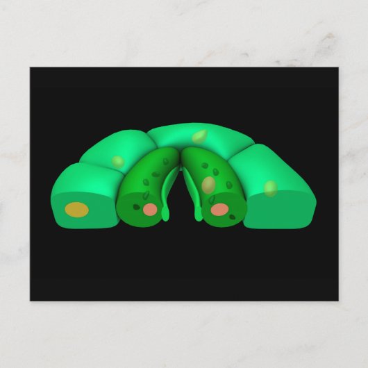 Carte Postale Image Conceptuelle De Stomata 2 (Devant)