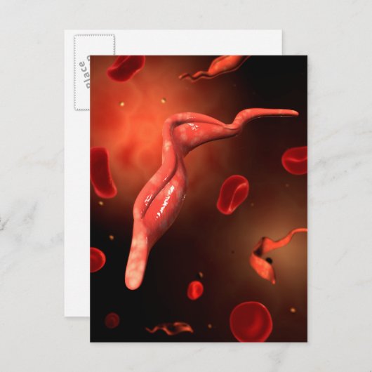 Carte Postale Image Conceptuelle De Trypanosoma 1 (Devant / Derrière)