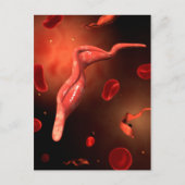 Carte Postale Image Conceptuelle De Trypanosoma 1 (Devant)