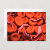 Carte Postale Image Conceptuelle De Trypanosoma 3 (Devant / Derrière)