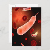 Carte Postale Image Conceptuelle De Vibrio Cholerae 2 (Devant / Derrière)