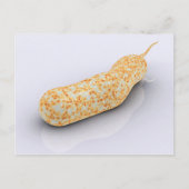 Carte Postale Image Conceptuelle De Vibrio Cholerae 3 (Devant)