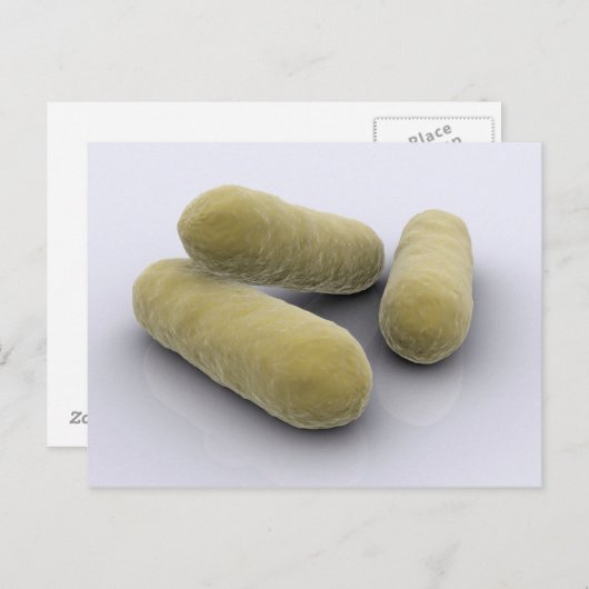 Carte Postale Image Conceptuelle Des Bactéries 2 (Devant / Derrière)