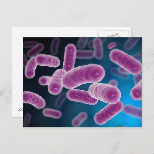 Carte Postale Image Conceptuelle Des Bactéries 3 (Devant / Derrière)