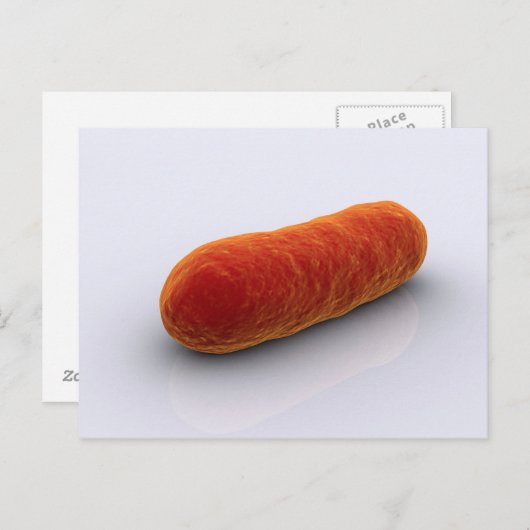 Carte Postale Image Conceptuelle Des Bactéries 4 (Devant / Derrière)