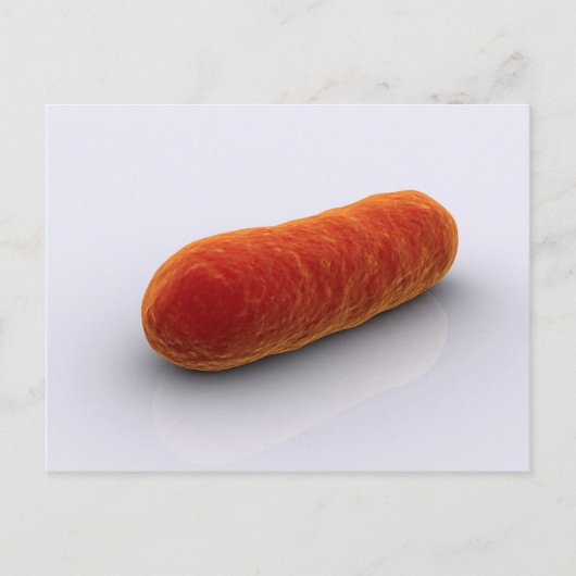 Carte Postale Image Conceptuelle Des Bactéries 4 (Devant)