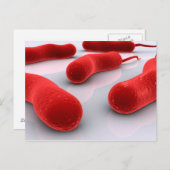 Carte Postale Image Conceptuelle Des Bactéries De Cholérae (Devant / Derrière)