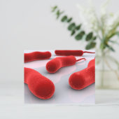 Carte Postale Image Conceptuelle Des Bactéries De Cholérae (Debout devant)