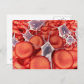 Carte Postale Image Conceptuelle Des Cellules De Sang Rouge 2 (Devant / Derrière)