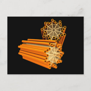 Carte Postale Image Conceptuelle Des Centrioles 1