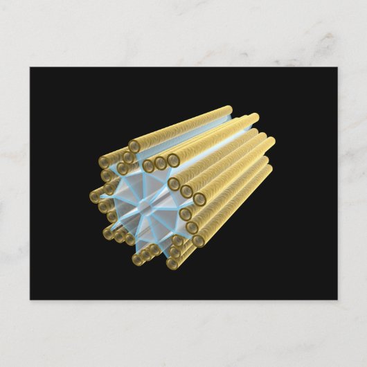 Carte Postale Image Conceptuelle Du Centriole (Devant)