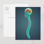Carte Postale Image Conceptuelle Du Cerveau, Du Crâne Et De La S (Devant / Derrière)