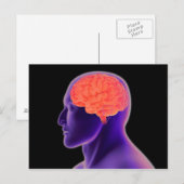 Carte Postale Image Conceptuelle Du Cerveau Humain 1 (Devant / Derrière)