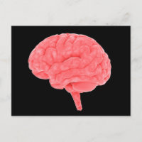 Image Conceptuelle Du Cerveau Humain 4