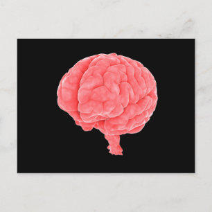 Carte Postale Image Conceptuelle Du Cerveau Humain 5