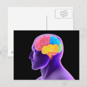 Carte Postale Image Conceptuelle Du Cerveau Humain 7 (Devant / Derrière)