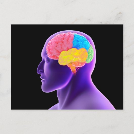 Carte Postale Image Conceptuelle Du Cerveau Humain 7 (Devant)