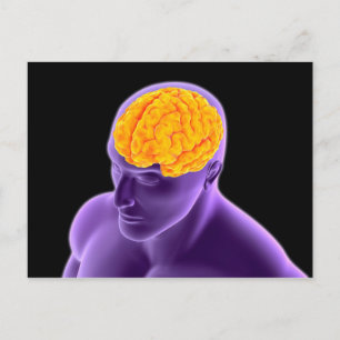 Carte Postale Image Conceptuelle Du Cerveau Humain 8