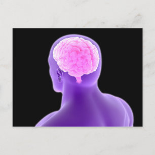 Carte Postale Image Conceptuelle Du Cerveau Humain 9