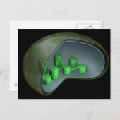 Carte Postale Image Conceptuelle Du Chloroplaste 1 (Devant / Derrière)