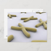 Carte Postale Image Conceptuelle Du Chromosome 1 (Devant / Derrière)