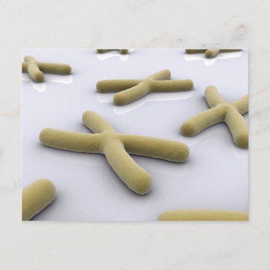 Carte Postale Image Conceptuelle Du Chromosome 1 (Devant)