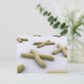 Carte Postale Image Conceptuelle Du Chromosome 1 (Debout devant)