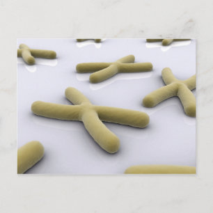 Carte Postale Image Conceptuelle Du Chromosome 1