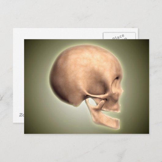 Carte Postale Image Conceptuelle Du Crâne Humain, Vue De Côté (Devant / Derrière)