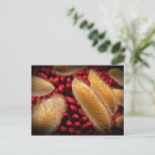 Carte Postale Image Conceptuelle Du Paramecium 1 (Debout devant)