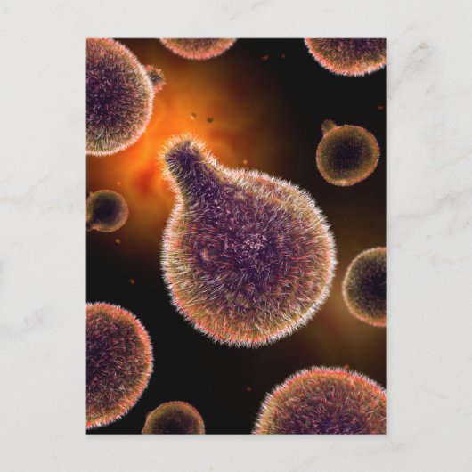 Carte Postale Image Conceptuelle Du Plasmodium Provoquant Le Pal (Devant)