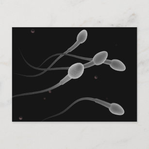 Carte Postale Image Conceptuelle Du Sperme Masculin
