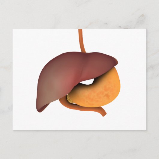 Carte Postale Image Conceptuelle Du Système Digestif Humain 3 (Devant)