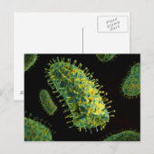 Carte Postale Image Conceptuelle Du Virus De La Rage 2 (Devant / Derrière)