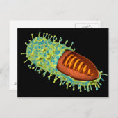 Carte Postale Image conceptuelle du virus de la rage 3 (Devant / Derrière)