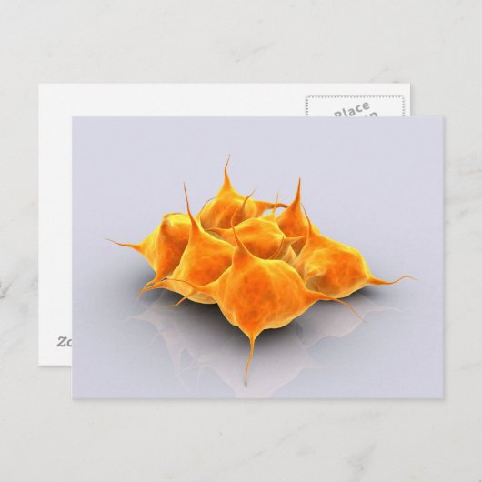 Carte Postale Image Conceptuelle D'Un Groupe De Platelets (Devant / Derrière)