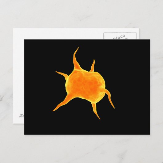 Carte Postale Image Conceptuelle D'Un Plateau (Devant / Derrière)