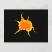 Carte Postale Image Conceptuelle D'Un Plateau (Devant)