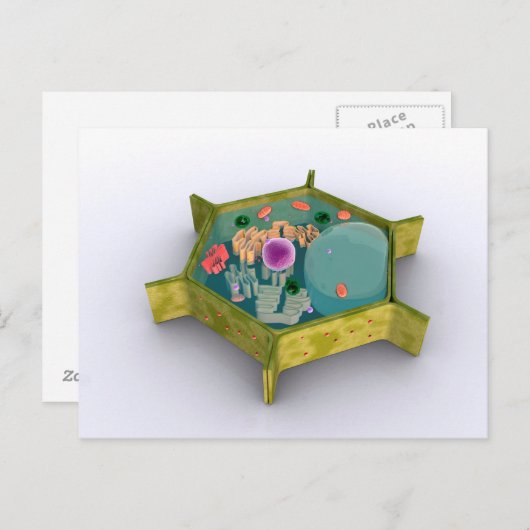 Carte Postale Image Conceptuelle D'Une Cellule Plante (Devant / Derrière)