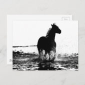 Carte Postale Image d'art pop moderne en noir et blanc de cheval (Devant / Derrière)