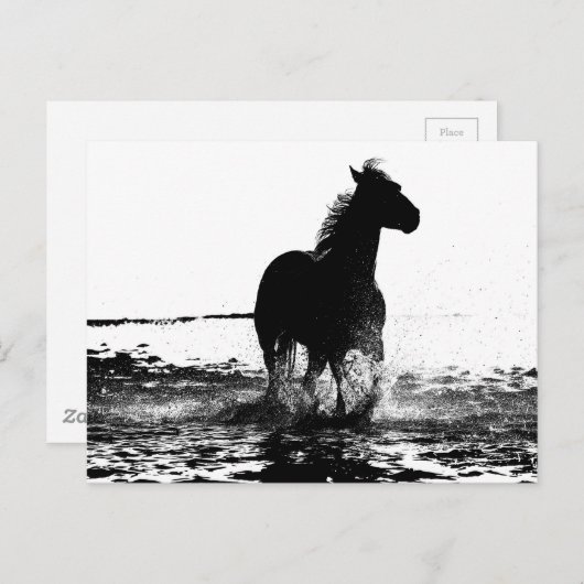 Carte Postale Image d'art pop moderne en noir et blanc de cheval (Devant / Derrière)