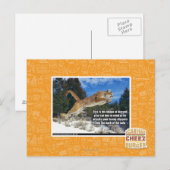 Carte Postale Image de chat (Devant / Derrière)
