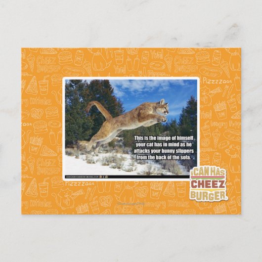 Carte Postale Image de chat (Devant)