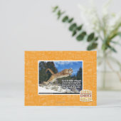Carte Postale Image de chat (Debout devant)