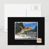 Carte Postale Image de chat (Devant / Derrière)