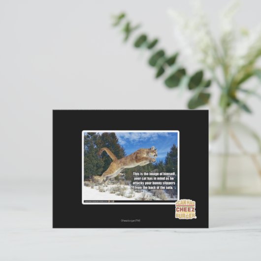 Carte Postale Image de chat (Debout devant)