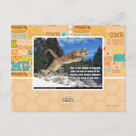 Carte Postale Image de chat (Devant)