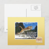 Carte Postale Image de chat (Devant / Derrière)