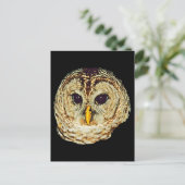 Carte Postale Image de hibou (Debout devant)